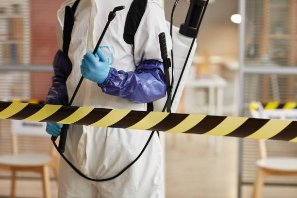 Professional Sewage Cleanup technician working in Monroeville, OH